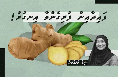 ފައިދާއިން ފުރިގެންވާ އިނގުރު!