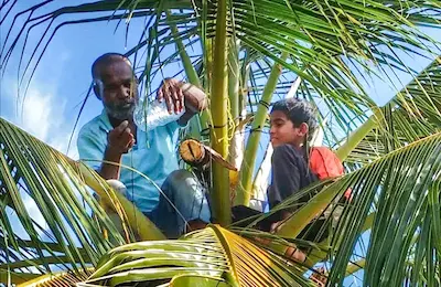 މަސައްކަތްތެރި މުރާލި ކުޑަ ކުޑަ ރާވެރިޔާ!