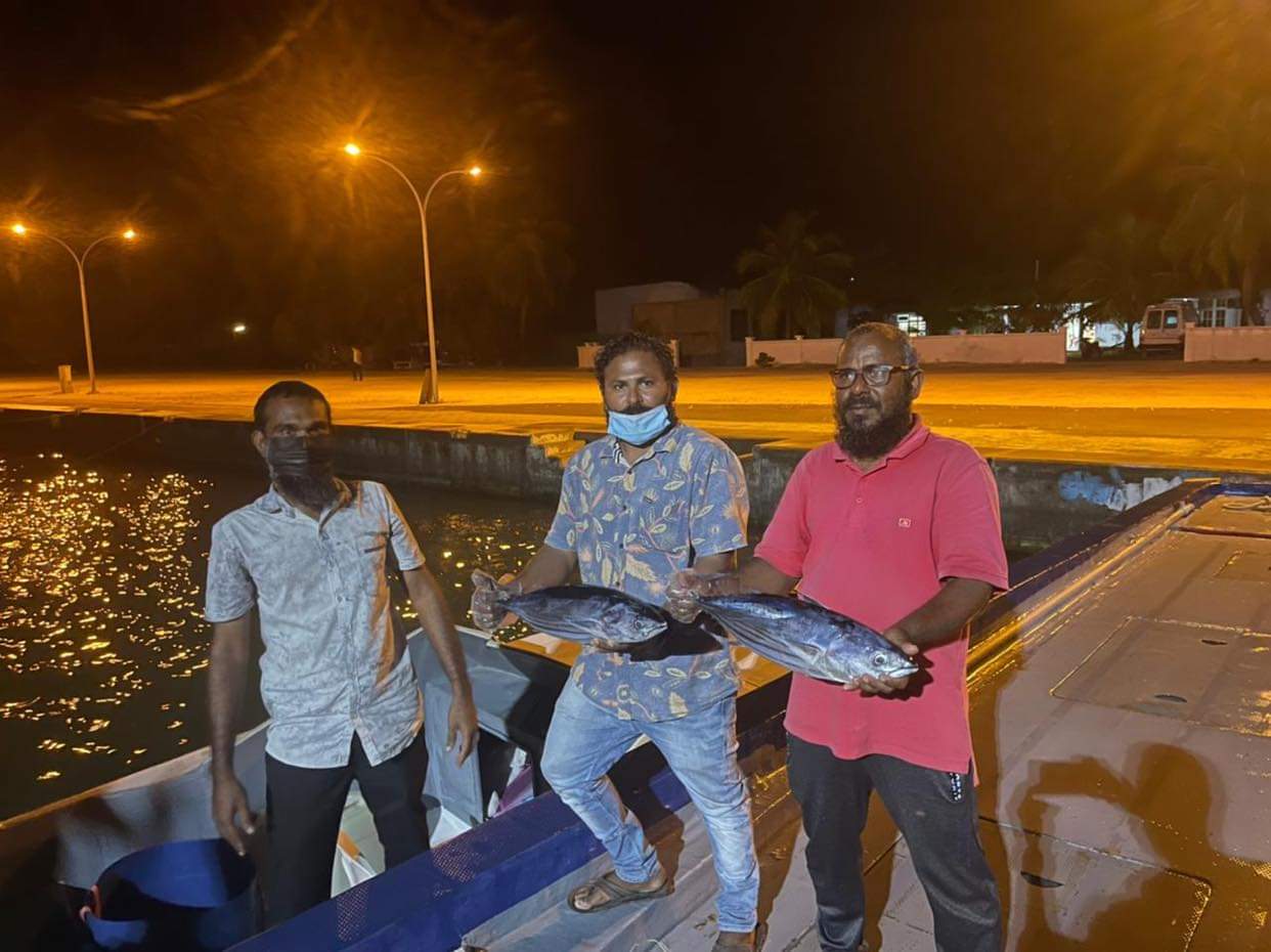 މަޑަވެލީ “ކަމަނަ ދޯނީގެ ފަރާތުން” ނަޑެއްލާ ރައްޔިތުންނަށް 300 ކިލޯ މަސް ހަދިޔާކޮށްފި