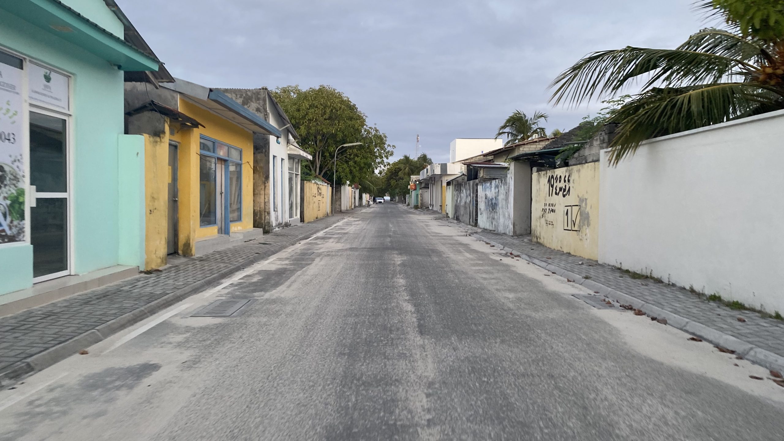 ތިނަދޫއިން ރެންޑަމް ސާމްޕަލެއް ފައްސި ނުވާތާ 12 ދުވަސް