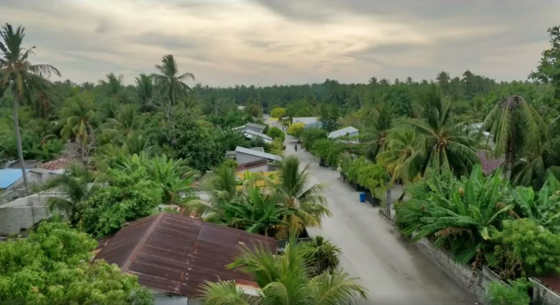 ގދ. ނަޑެއްލާއަށް ހަމްދަރުދީގެ ނަޒަރެއް