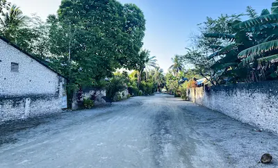 ނަޑެއްލާއިން ފައްސިވި މީހުންގެ އަދަދު 89 އަކަށް