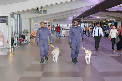 އެއަރޕޯޓްގައި ކުއްތާ ގެންގުޅޭ ގޮތާމެދު ކަންބޮޑުވުން