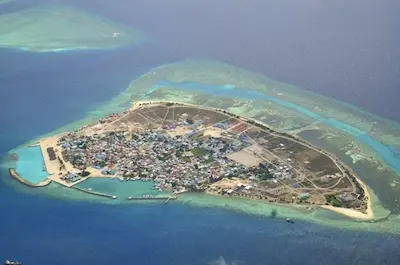 ނައިފަރުގައި ހަށިވިއްކުމުގެ ވިޔަފާރިއެއް