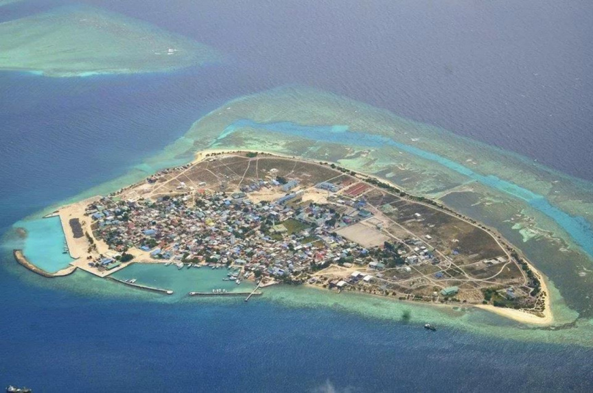 ނައިފަރުގައި ހަށިވިއްކުމުގެ ވިޔަފާރިއެއް