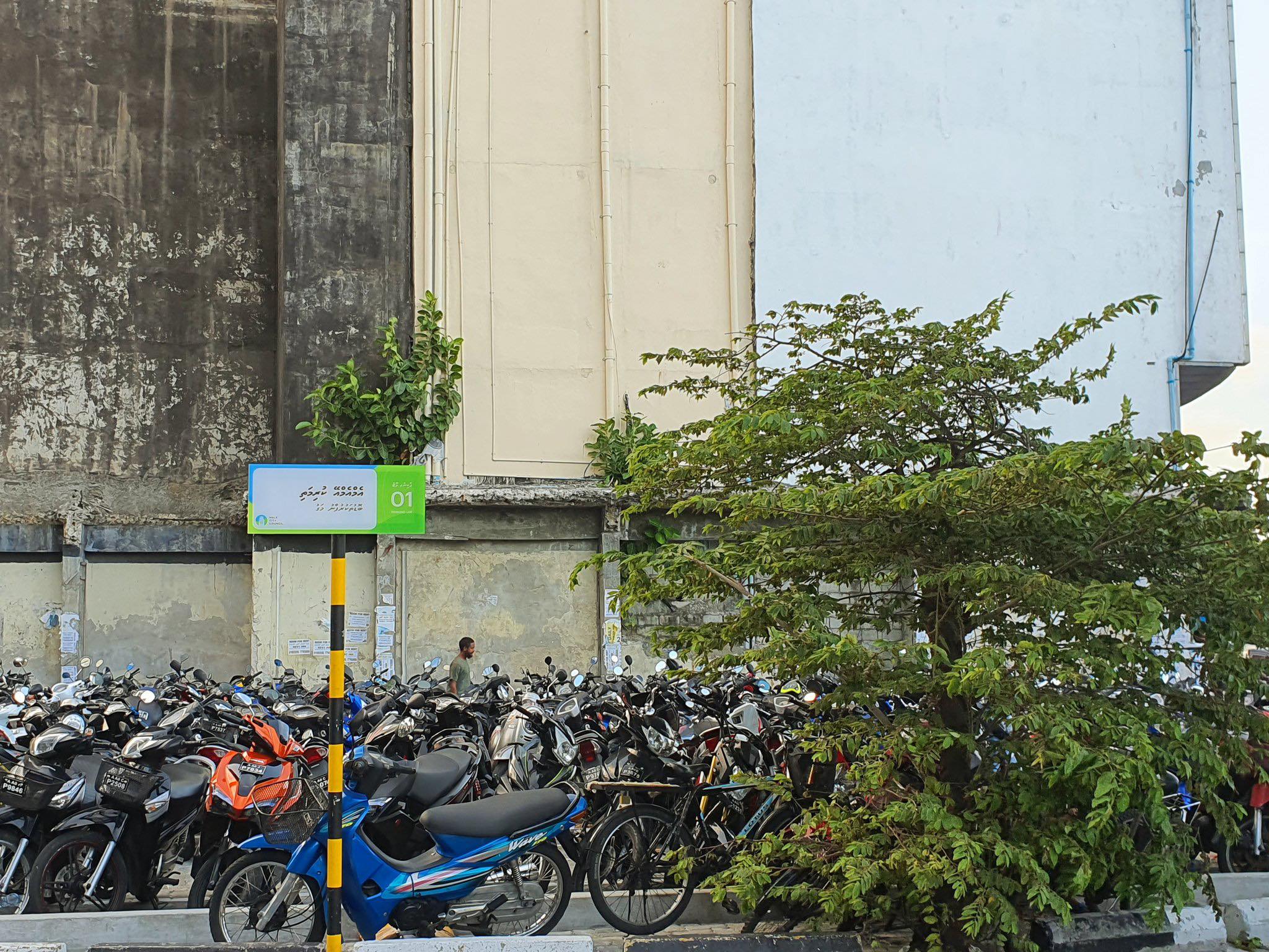 ސުނާމީ ބިނާ ސަރަޙައްދުން ޕާކިން ސްޕޭސް ދޫކުރަން ފަށައިފި