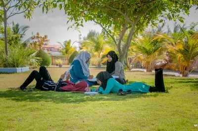 އެމް.އެން.ޔޫ ތިނަދޫ ކެމްޕަސްގައި ހިންގާ ކޯސްތަކާއި ބެހޭ މަޢުލޫމާތު ދިނުމުގެ ސެޝަންތަކެއް ކުރިއަށްދަނީ