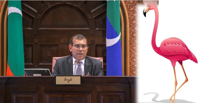 ގުޑު ގުޑާ ދޫނި ހިފައި ރިހަ ނުކެއްކުމަށް ރައީސް ނަޝީދު އެދިވަޑައިގެންފި