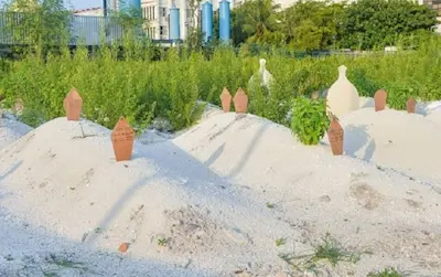 މަހާނަ މަތީގަ ލިޔުމުގެ ހުކުމް