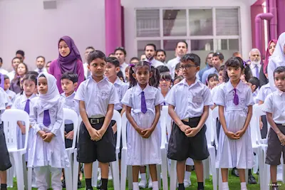 ސްކޫލް، ދަރިން ވިހާ މަޔަކަށް ބަދަލުވުން – އިޖުތިމާޢީ ބޮޑު މައްސަލައެއް