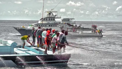 ހުވަދު އަތޮޅުގެ މަސްވެރިކަން ރަނގަޅު. ކިރާ މަހުގެ އަދަދު ވެސް އިތުރުވެއްޖެ : މިފްކޯ