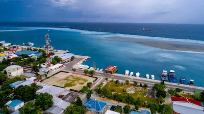ނަމުން ފަންސާސް ޕަސެންޓް ޑިސްކައުންޓް ސޭލް!