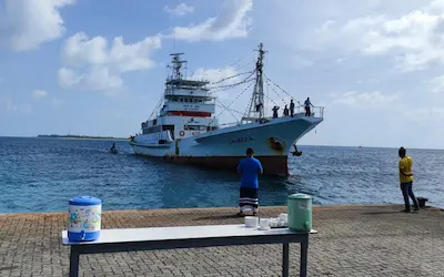 ފެލިވަރުގައި އޮތް 100 ޓަނުގެ މަސް ގަނެވޭ ބޯޓު ހުވަދު އަތޮޅަށް ބަދަލުކުރަން މަސްވެރިން ގޮވާލައިފި