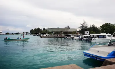 ތިނަދޫ ރަސްމީ ފާލަމު ސަރަހައްދުން މަސްބޭނުން މަނާކޮށްފި