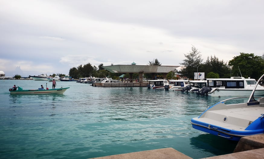 ތިނަދޫ ރަސްމީ ފާލަމު ސަރަހައްދުން މަސްބޭނުން މަނާކޮށްފި