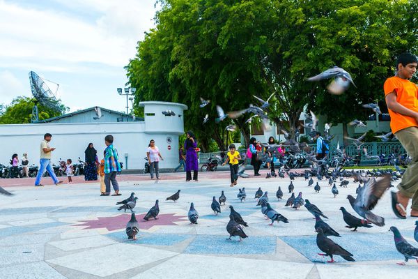 ޖުމްހޫރީ މައިދާނުގެ ވިނަގަނޑު ހައްދަނީ ކެމިކަލް ޖަހައިގެން ނޫން: ކައުންސިލް
