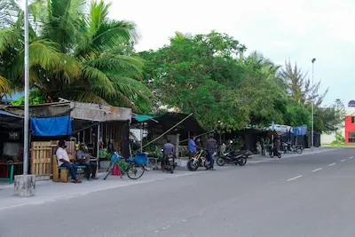 ތިނަދޫ ގާޑިޔާތައް ތަރައްޤީކޮށް ޒަމާނަށް ފިޓް ކުރަން ޖެހިފައި