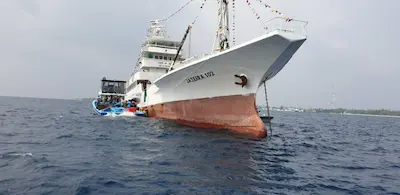 މިފްކޯގެ މަސް ބޯޓަކުން މިއަދު 150 ޓަނަށްވުރެ ގިނަ މަސް ގަނެފި