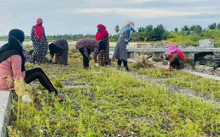 ފެހި ފަތުގެ ޝަރަފު ހޯދުމަށް މަޑަވެލި އަލުން އަތުކުރި އޮޅާލަނީ