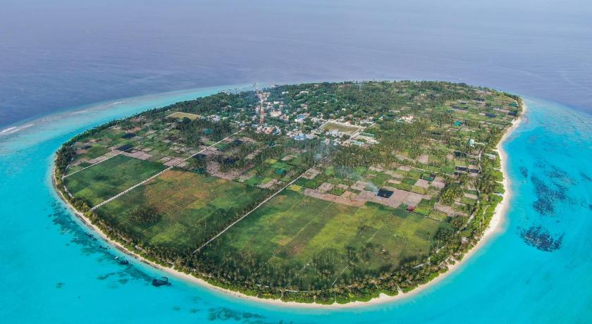 ހާފިޒަކަށް ވާ ކޮންމެ މީހަކަށް ބައިލައްކަ ރުފިޔާ ދެނީ
