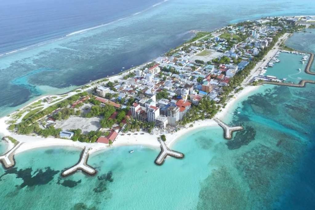 ސްކޫލެއްގައި މަސްތުވާ ތަކެތި ވިއްކާ މައްސަލައެއް ފެންމަތިވެއްޖެ