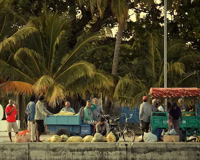 ދާންދޫގައި އުޅޭ ބިދޭސީންނަށް އުޖޫރަ ދޭނެގޮތުގެ އުސޫލެއް ކަނޑައަޅައިފި