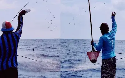 ހުވަދު އަތޮޅުގެ ރިސޯޓްތައް ކައިރިން އެންވެރިކަން ނުކުރުމަށް އަންގައިފި