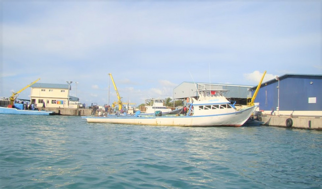 ކޫއްޑޫ މަސްފެކްޓްރީގެ ފުރާޅުމަތިން ވެއްޓުނު މީހާ މަރުވެއްޖެ