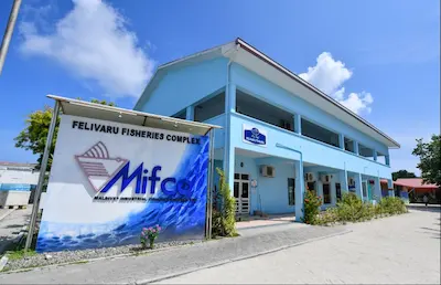 ބުނި ތާރީޚަށް، އެސްޓީއޯގެ ދަށުން މިފްކޯ ވަތްކެއް ނުކުރެވުނު
