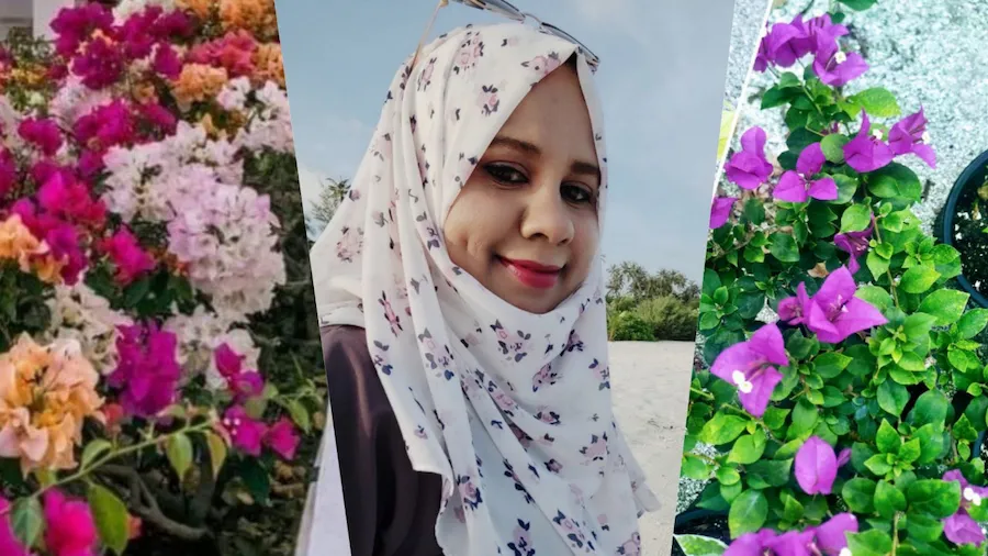 ބޯގަންވިލާގެ ހަތްދިހަ އެތައް ވައްތަރެއް،ސޮފޫއަކަށް ޖިންނީގެ އުނދަގުލެއް ނުވޭ،ކުރަނީ ފައިދާ