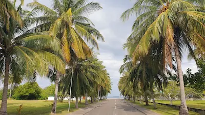 ހުވަދު އަތޮޅުން ކާށްޓެއް ހަމަ އެންމެ 1ރުފިޔާއަށް