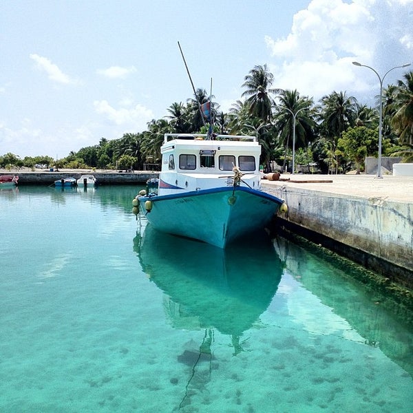 ގދ. ނަޑެއްލާގައި އުމުރުން ދުވަސްވީ މީހަކު ގެނބިގެން މަރުވެއްޖެ