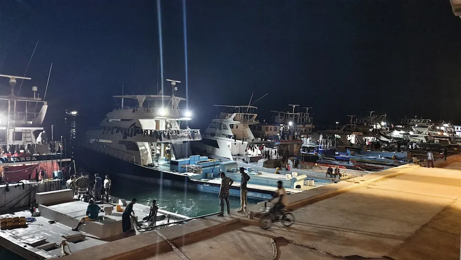 މަސްވެރިކަން ވަރަށް ހަބޭސް, މަހެއް ނުކިރޭ ! އައިސް ނުލިބޭ : މަސްވެރިން
