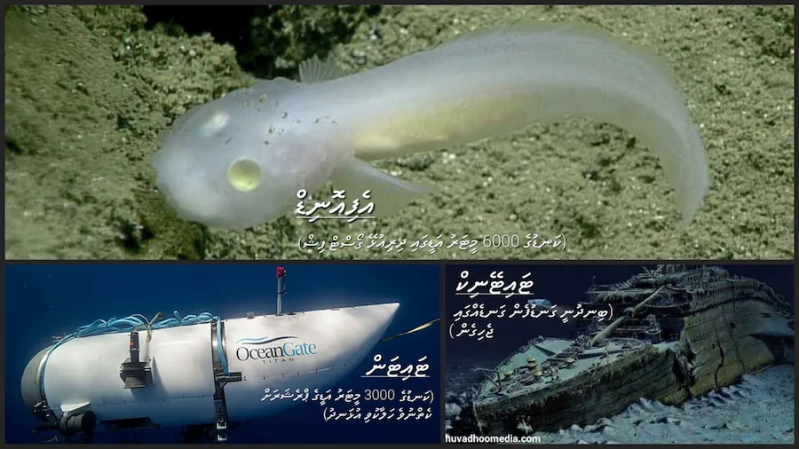 އެފަދަ ދެވަނައެއް ނުވާ ސާފު ހެކިތައް