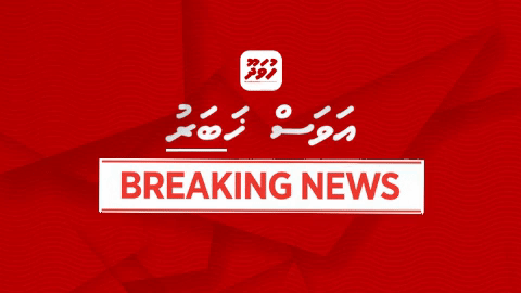ކުރީގެ ރައީސް ޔާމީން ރިޔާސީ އިންތިހާބަށް ކުރިމަތި ލުމަށް ކެންޑިޑެސީ ފޯމް އިލެކްޝަންސް ކޮމިޝަންގެ އިންތިހާބީ މަރުކަޒަށް ހުށަހަޅާފި