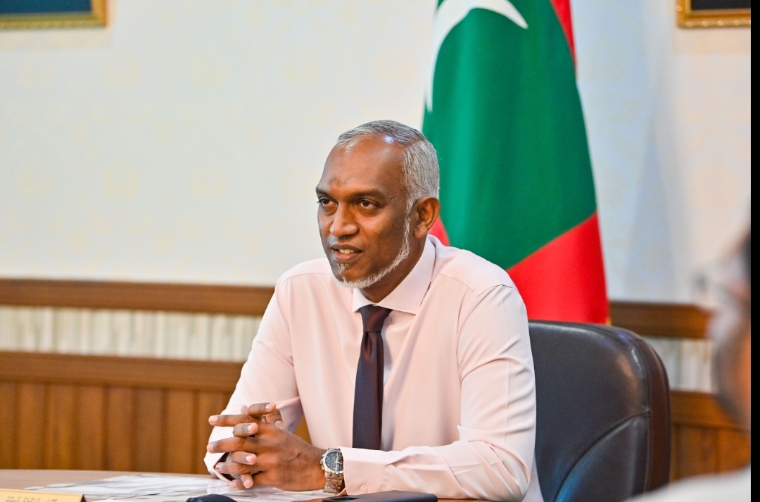 ފަތުރުވެރިކަމަށް ހާއްސަ ކައުންސިލެއް، ޗެއާ ކުރައްވާނީ ރައީސް