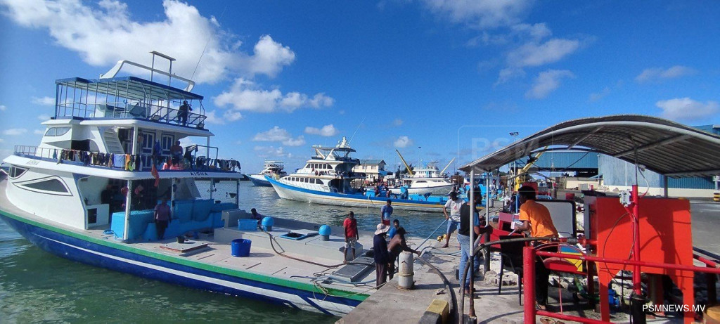 ބޮޑެތި ޕަމްޕުތައް ގާއިމްކޮށް، ކޫއްޑޫއިން މަސްވެރިންނަށް ތެޔޮއެޅުން 5 ގުނަ އަވަސް ކޮށްފި