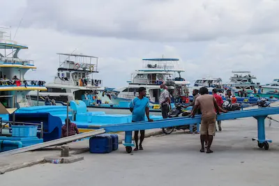 މިފްކޯއިން މަސްގަންނަ އަގު ދަށްކޮށްފި، މާދަމާއިން ފެށިގެން 20 ރުފިޔާ!