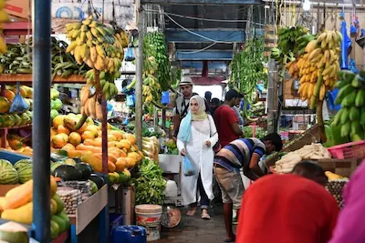 އަދިވެސް މިރުހުގެ އަގަކަށް ބަދަލެއް ނާދޭ، އަތް ނުފޯރާ ފަށުގަ!