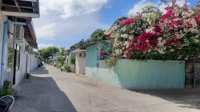 ކުޑަކުއްޖާއަށް އަނިޔާކުރި މައްސަލައިގެ ތަހުގީގަށް ހާއްސަޓީމެއް ރަސްދޫގައި
