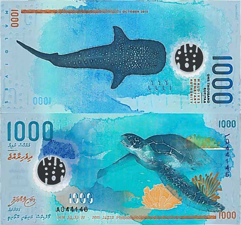 ފެހުރިހި ޖެހި ޗާލު 1000ގެ ނޫޓަށް ގިނަ ބައެއްގެ ސަމާލުކަން!