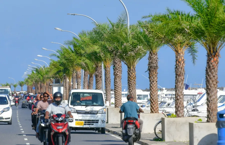 5 މިލިއަން ގަސް އިންދުމުގެ ޕްރޮގްރާމް ތިމާވެށީގެ ދުވަހު ފަށަނީ