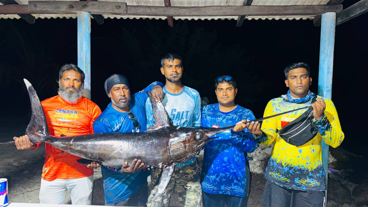 ސޯލްޓްލައިފް މޯލްޑިވްސްގެ ޒަމާންވީ ހުވަފެން ހަގީގަތަކަށް؛ ރާއްޖޭގައި ސްވޯޑްފިޝްއެއް ބޭނިކަމުގެ ފަހުރު!