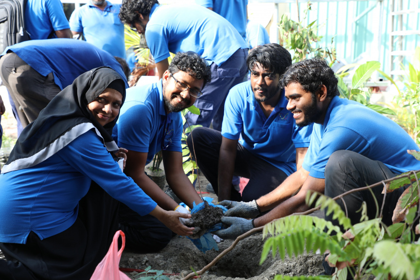 ސްޓެލްކޯ މުވައްޒަފުން އިސްނަގައިގެން, ގަސް އިންދުމުގެ ހަރަކާތެއް ކުރިއަށް ގެންދަން ނިންމައިފި