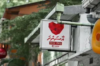 ތައިލޭންޑާއި ޔޫއޭއީއަށް ބޭހަށް ފޮނުވޭނެ ގޮތް ހެދުމުގެ މަސަތްކަތް ފަށައިފި