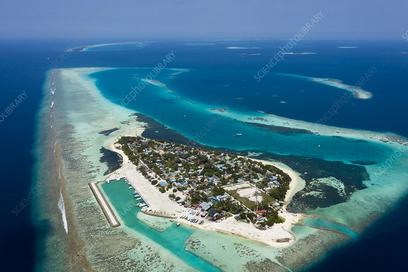 ފާނަ މަސްވެރިކަމަށް މޫދަށް އެރި އުޅުނު މީހެއްގެ ގައިގައި ލޯންޗަކުން ޖެހި މަރުވެއްޖެ