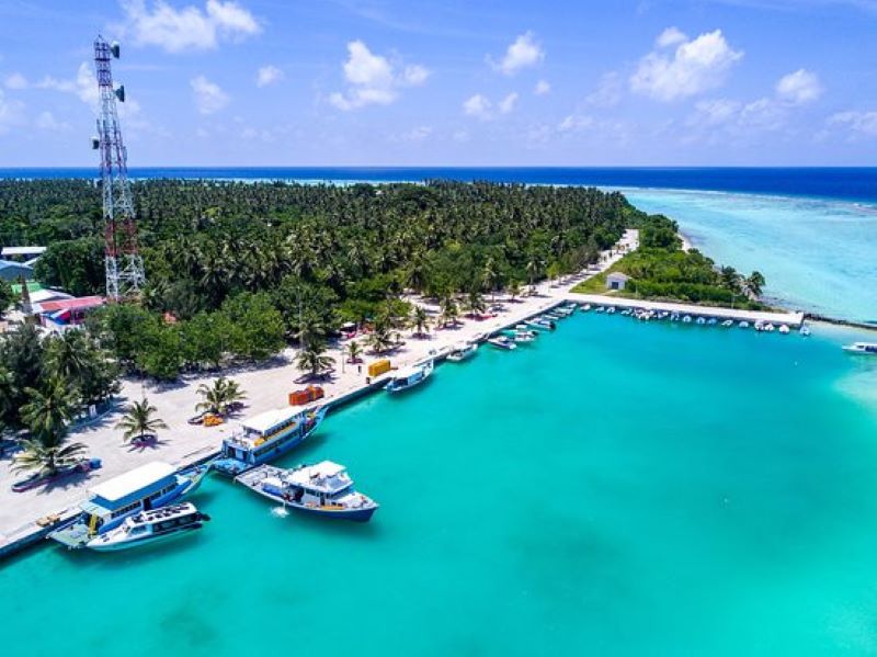 ބިން ދޫނުކުރި މައްސަލަ ގޯހުންގޯހަށް، 8 މީހުން ހައްޔަރުކޮށްފި