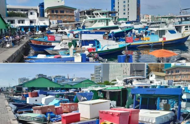މަސްވެރިންގެ ސަރަހައްދުގައި ހުއްދަ ނުނަގާ އަޅާފައި ހުރި އޮޑިފަހަރުގައި ސްޓިކާ ޖަހަނީ