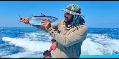 އަންހެނެއްގެ ބޮލުގައި ގާބުރިއަކުން ޖެހި މައްސަލައިގައި ކެޔޮޅު ސާޖިދު ހައްޔަރުކޮށްފި