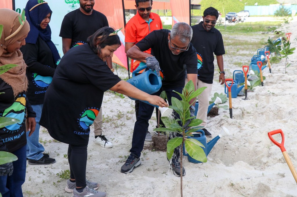 ފަސް މިލިއަން ގަސްއިންދުމުގެ ޕްރޮގްރާމުގެ ދަށުން ހުޅުމާލޭގައި ގަސްއިންދަން ފަށައިފި